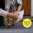Earth Rated (A Canadian Company) Pet Wipes for Dogs and Cats, Hypoallergenic, Cleaning and Hydrating, for Grooming Paws, Body and Butt, Unscented, 400 Count 🍁 All In One Marketplace Canada
