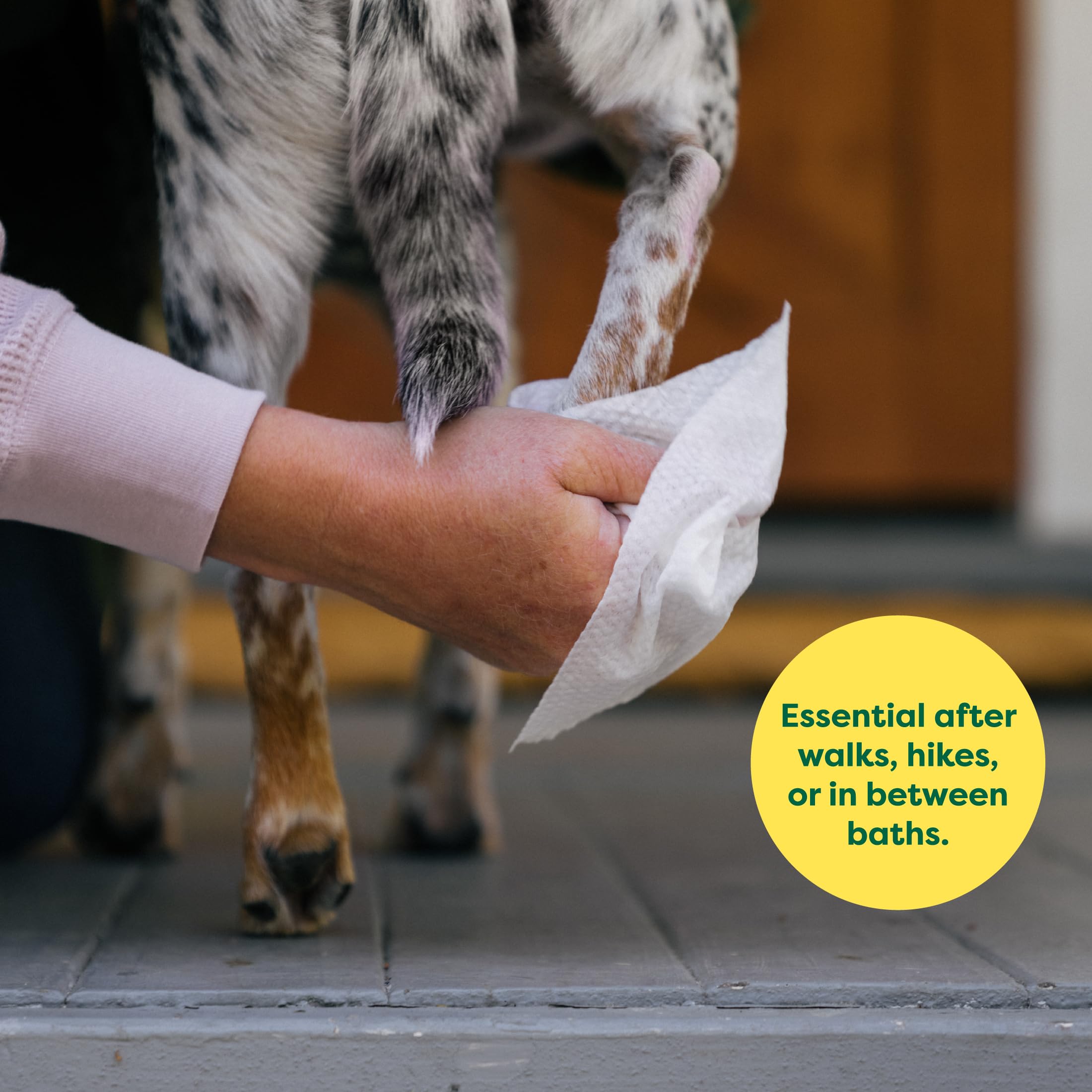 Earth Rated (A Canadian Company) Pet Wipes for Dogs and Cats, Hypoallergenic, Cleaning and Hydrating, for Grooming Paws, Body and Butt, Unscented, 400 Count 🍁 All In One Marketplace Canada