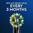 Oral-B CrossAction Electric Toothbrush Replacement Brush Heads, Black, 6 Count 🍁 All In One Marketplace Canada