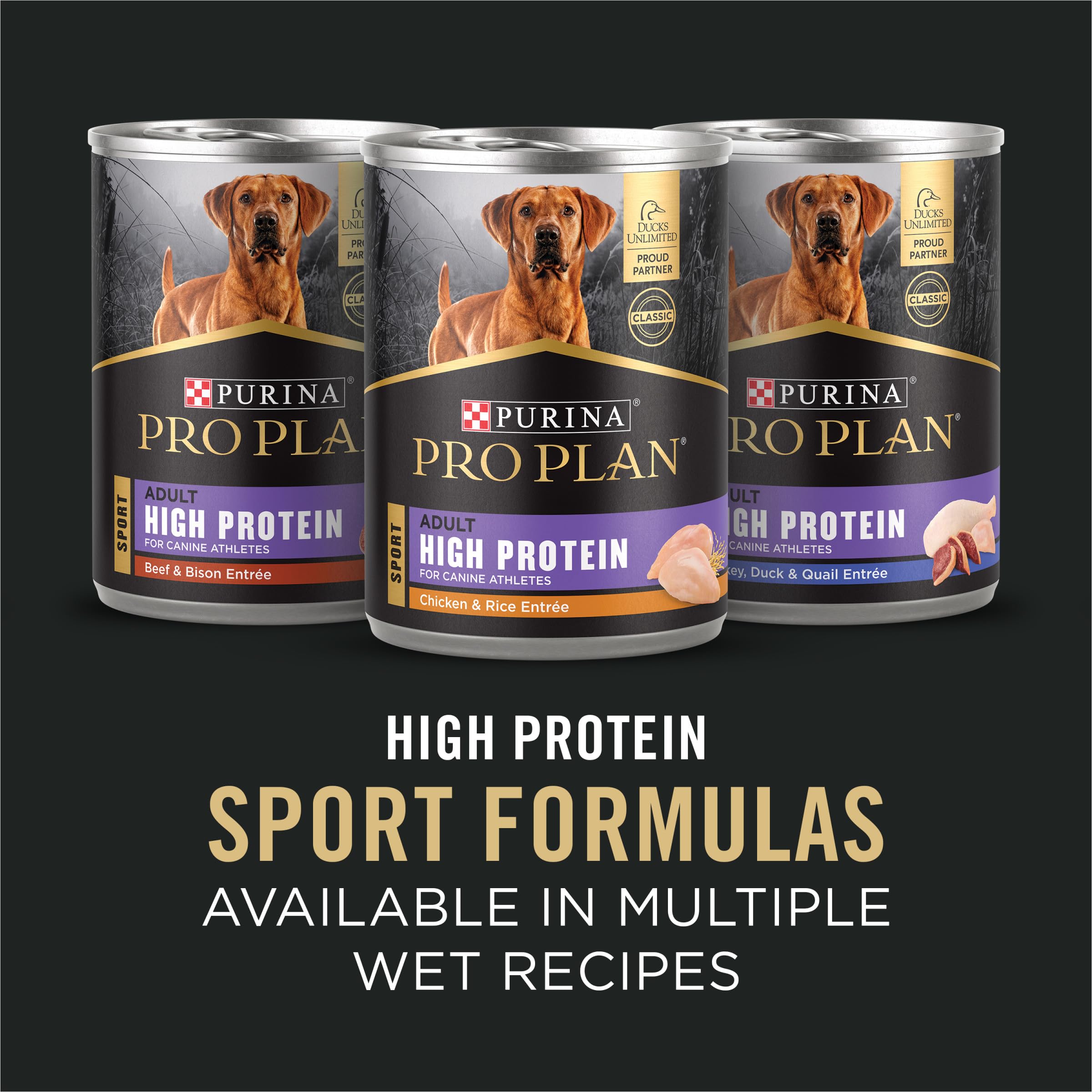 Purina Pro Plan Dry Dog Food, Sport, Performance 30/20 Salmon and Rice Formula, 33-Pound Bag, Pack of 1 🍁 All In One Marketplace Canada