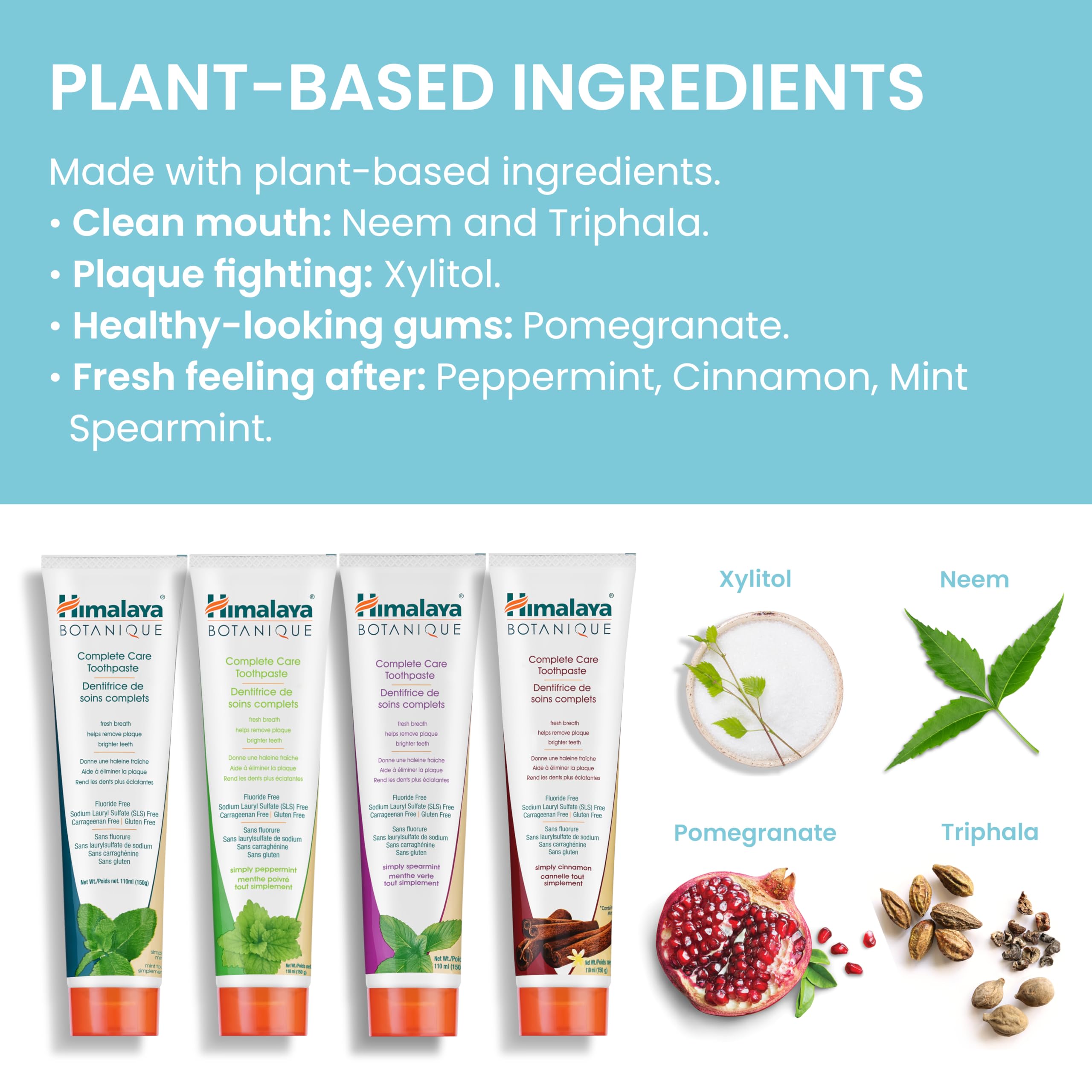 Himalaya Botanique Complete Care Toothpaste, for Brighter Teeth and Fresh Breath, Natural, Fluoride-Free, SLS-Free, Carrageenan-Free & Gluten-Free, Vegan, 150 g (5.29 oz), Variety 4 Pack 🍁 All In One Marketplace Canada