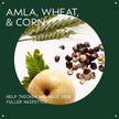 Aveda Thickening Tonic | Instantly Thickens Hair | for Thin and Fine Hair | with Certified Organic Amla, 100ml 🍁 All In One Marketplace Canada