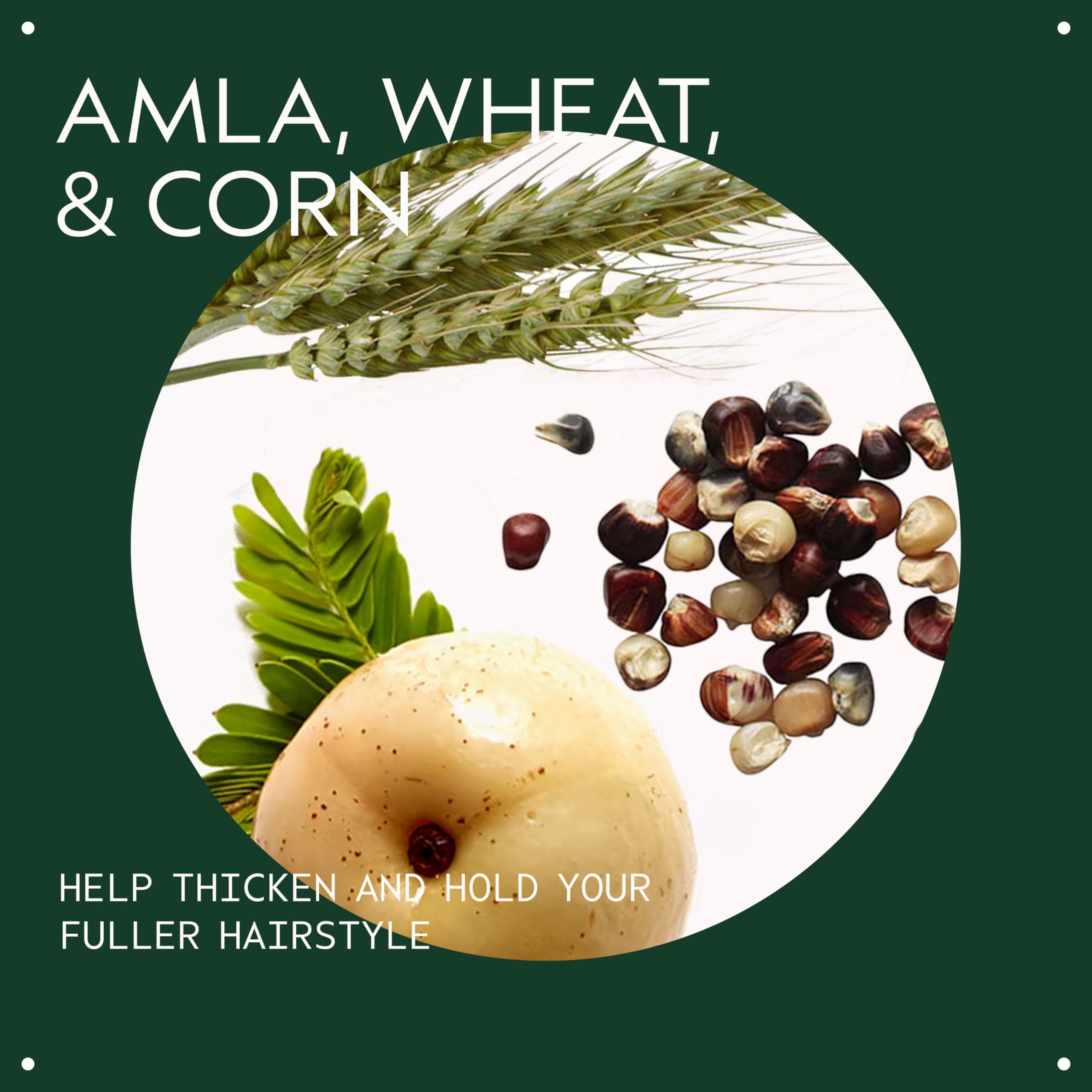 Aveda Thickening Tonic | Instantly Thickens Hair | for Thin and Fine Hair | with Certified Organic Amla, 100ml 🍁 All In One Marketplace Canada