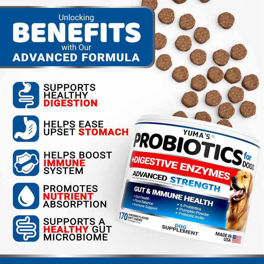 Probiotics for Dogs - 170 Chews - Helps Relieve Diarrhea, Gas & Allergies, Constipation - Dog Probiotics - Digestive & Immune Support - Prebiotics & Digestive Enzymes - Gut Health Chewable Supplement 🍁 All In One Marketplace Canada
