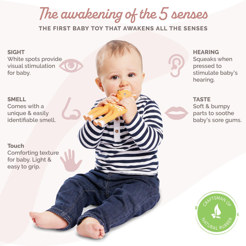 Fanfan The Fawn - Sophie la girafe's New Friend - Soft Natural Rubber - BPA-Free Teething Toy for Babies from Birth 🍁 All In One Marketplace Canada