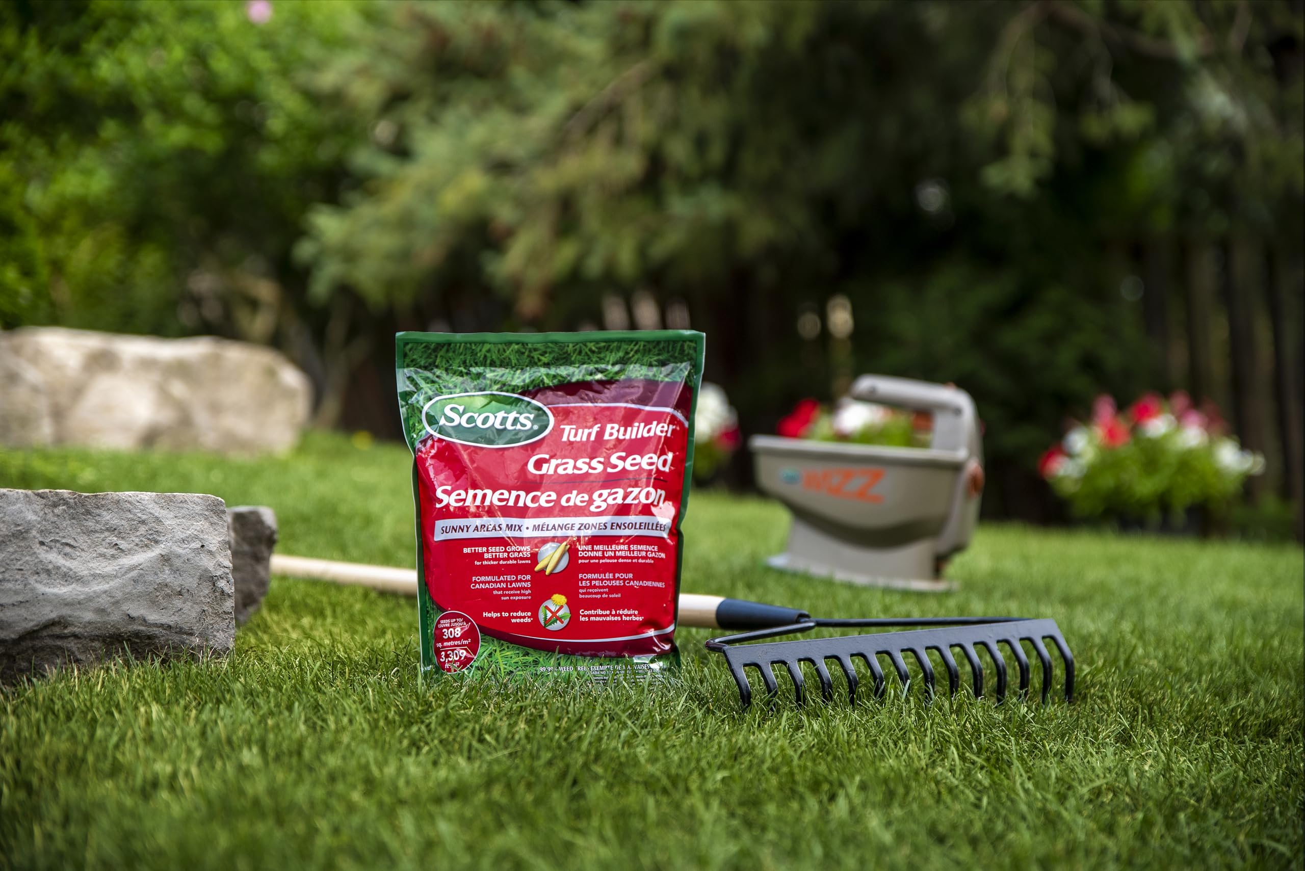 Scotts Turf Builder Grass Seed Sunny Areas Mix, 1kg (246 sq Meters / 2,648 sq feet Coverage) | Formula for overseeding or Growing a new, Thick Lawn in Sunny Areas 🍁 All In One Marketplace Canada
