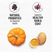 Beyond Superfood Blend Natural Dry Dog Food, Wild Caught Salmon, Egg & Pumpkin - 5 kg Bag 🍁 All In One Marketplace Canada