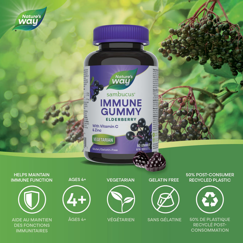 Nature's Way Sambucus Immune Support Gummies – Elderberry with Vitamin C & Zinc – Supports Immune Function and Relieves Cold & Flu Symptoms – Vegetarian, Gluten-Free for Adults & Kids 4+ – 60 Gummies 🍁 All In One Marketplace Canada