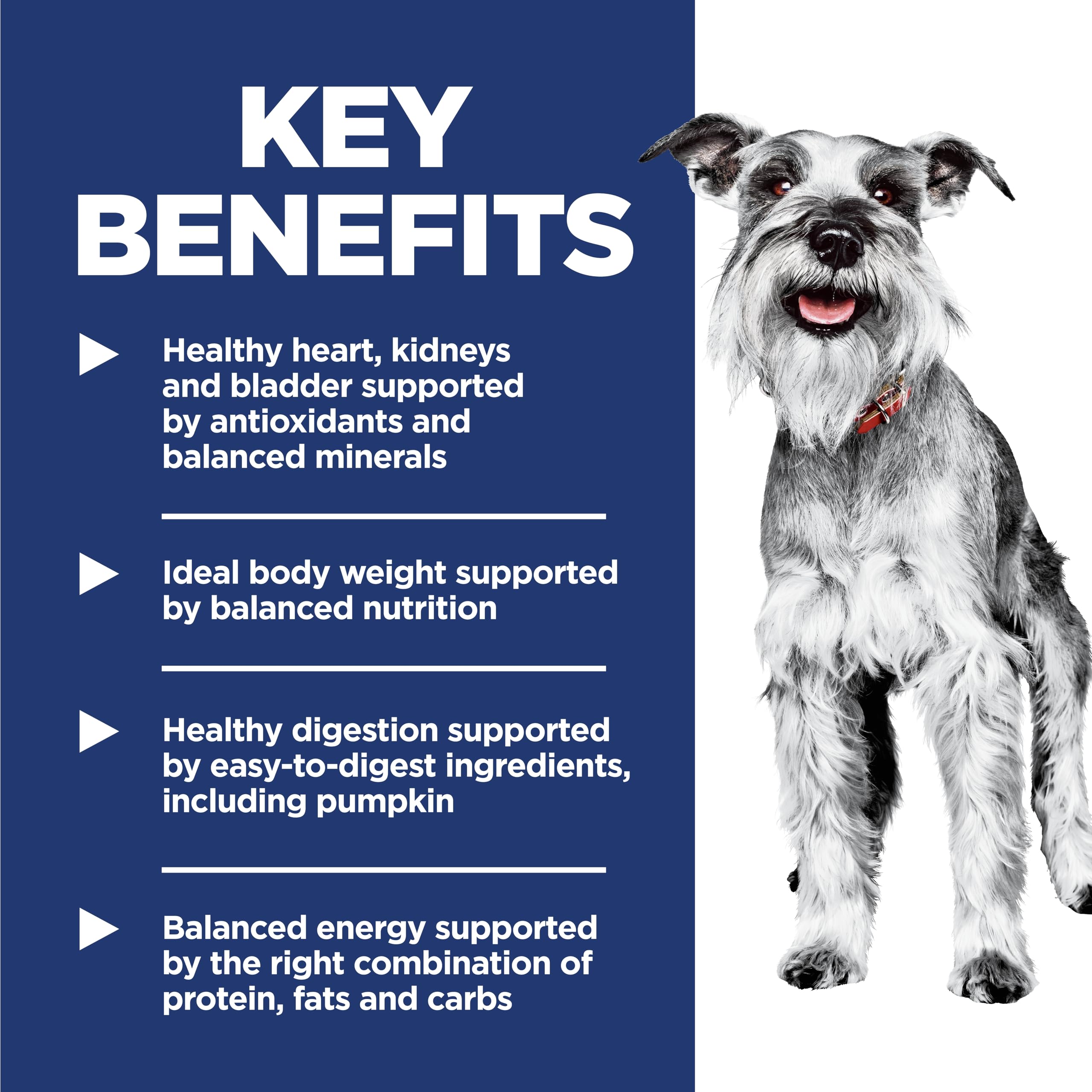 Hill's Science Diet Senior 7+ Small & Mini Chicken Meal, Barley & Brown Rice Recipe Dry Dog Food 2.04 kg Bag 🍁 All In One Marketplace Canada