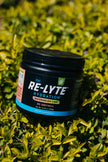 REDMOND Re-Lyte Electrolyte Drink Mix (Watermelon Lime) 🍁 All In One Marketplace Canada