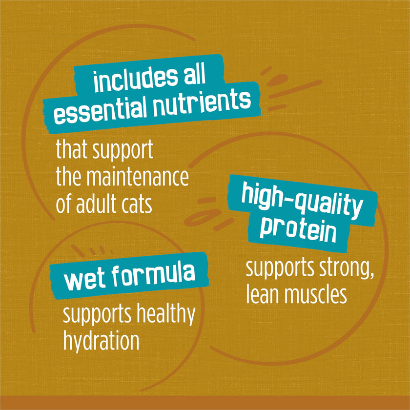 Friskies Tasty Treasures Wet Cat Food, Poultry & Fish Combo Variety Pack 3 Flavours - 156 g Can (24 Pack) 🍁 All In One Marketplace Canada