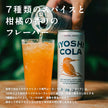 Iyoshi Cola Craft Cola (250ML) [Best Before Date: 2026.12]