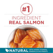 Purina ONE Dry Cat Food, Salmon & Rice Formula - 7.2 kg Bag 🍁 All In One Marketplace Canada