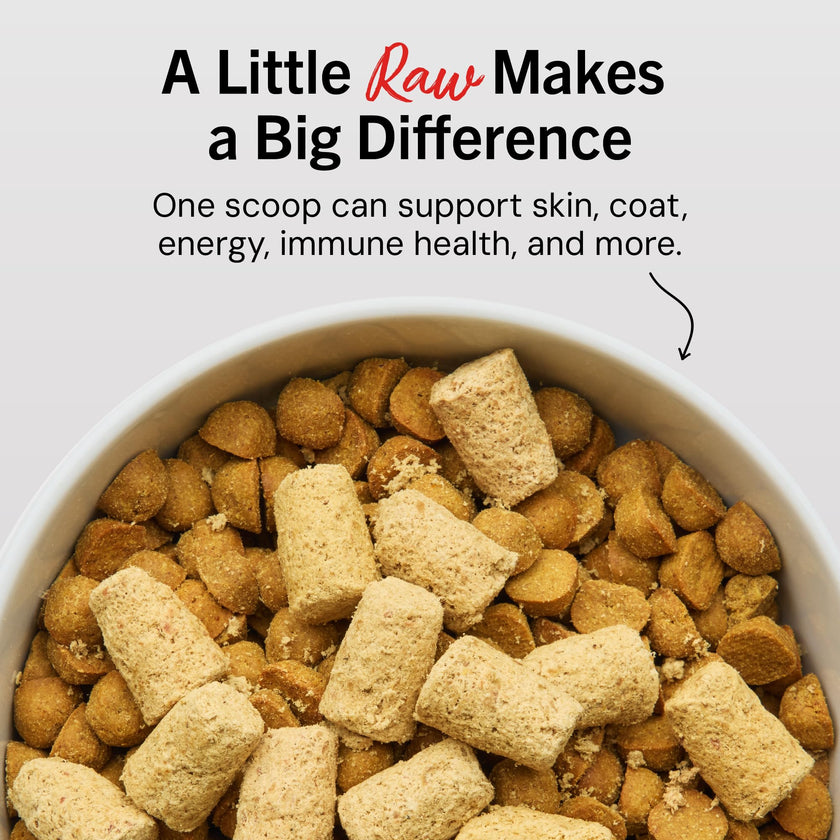 Stella & Chewy’s Freeze Dried Raw Super Beef Meal Mixer – Dog Food Topper for Small & Large Breeds – Grain Free, Protein Rich Recipe – 227g Bag 🍁 All In One Marketplace Canada