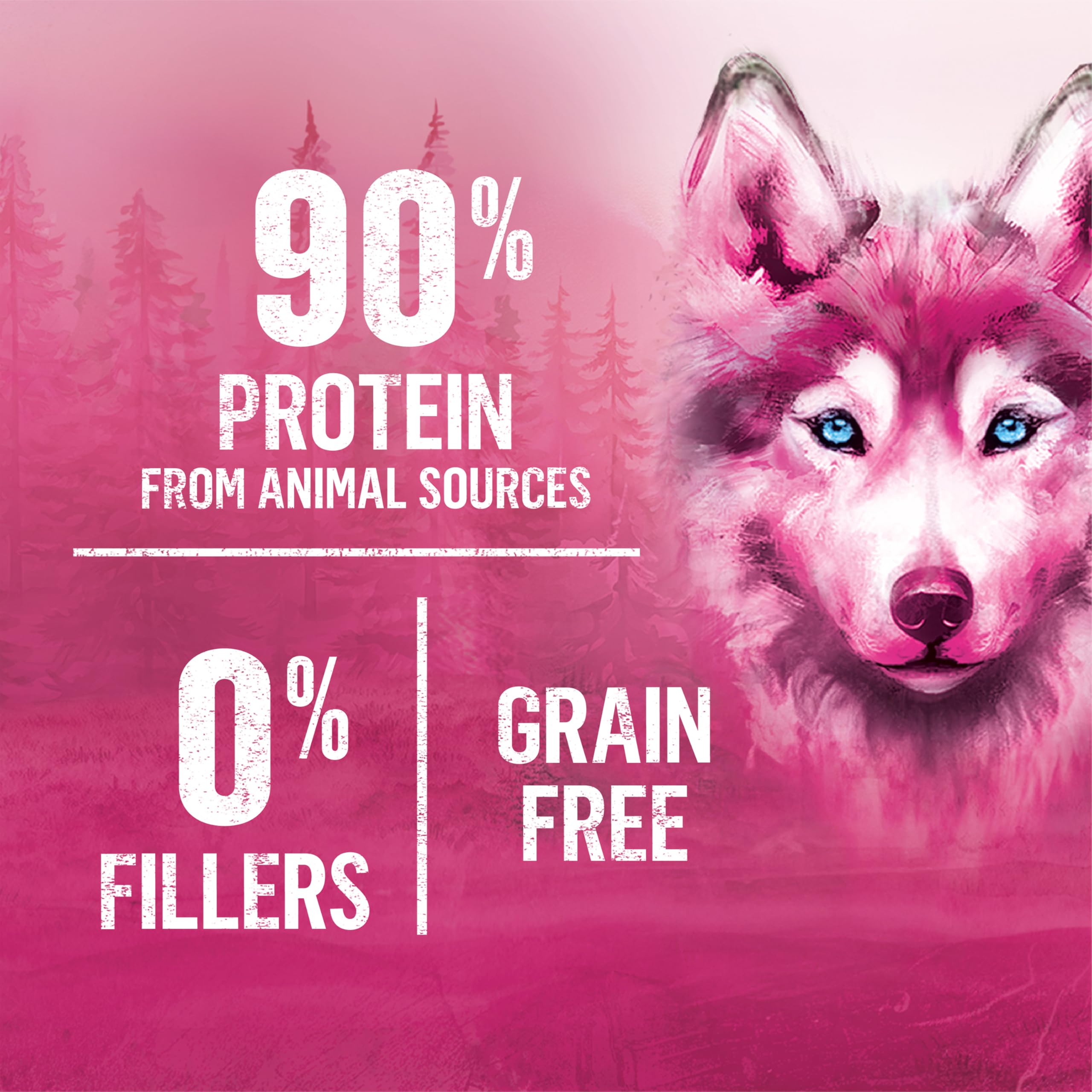 Beyond Wild Wet Dog Food, Ground Entrée Beef, Liver & Lamb (12 Pack) 🍁 All In One Marketplace Canada