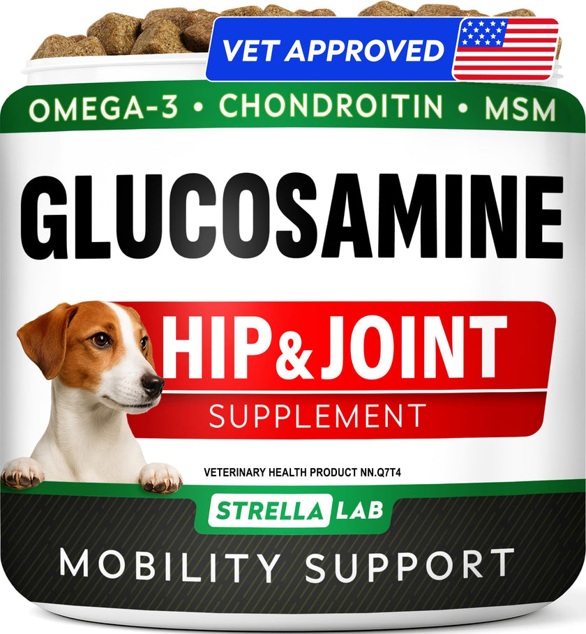 Glucosamine for Dogs w/Chondroitin - Hip & Joint Supplement for Dogs - MSM, Omega to Improve Mobility & Energy - Natural Joint Pain Relief - 120 Chews (Chicken) 🍁 All In One Marketplace Canada