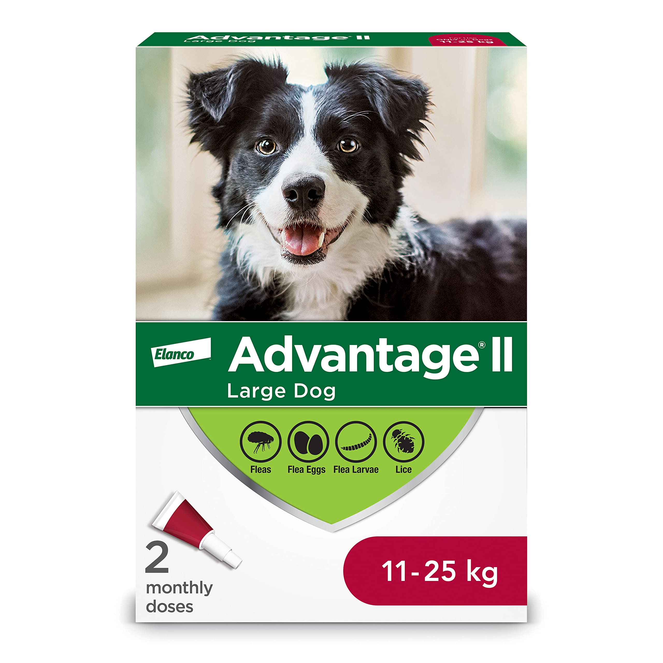 Advantage II - Flea Protection - Large Dog - Vet Recommended - 2-pack 🍁 All In One Marketplace Canada