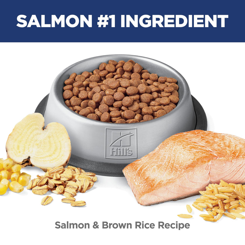 Hill's Science Diet Adult Perfect Digestion Salmon, Brown Rice & Whole Oats Recipe Dry Cat Food 5.89 kg Bag 🍁 All In One Marketplace Canada