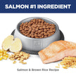 Hill's Science Diet Adult Perfect Digestion Salmon, Brown Rice & Whole Oats Recipe Dry Cat Food 1.58 kg Bag 🍁 All In One Marketplace Canada