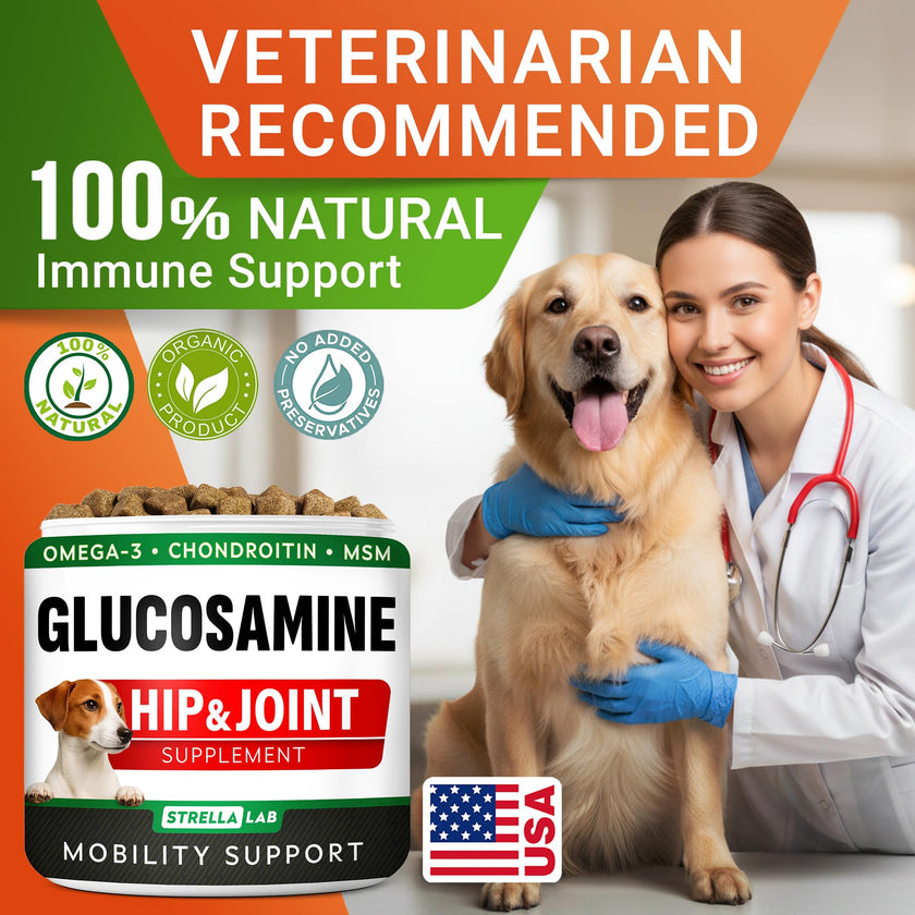 Glucosamine for Dogs w/Chondroitin - Hip & Joint Supplement for Dogs - MSM, Omega to Improve Mobility & Energy - Natural Joint Pain Relief - 120 Chews (Chicken) 🍁 All In One Marketplace Canada