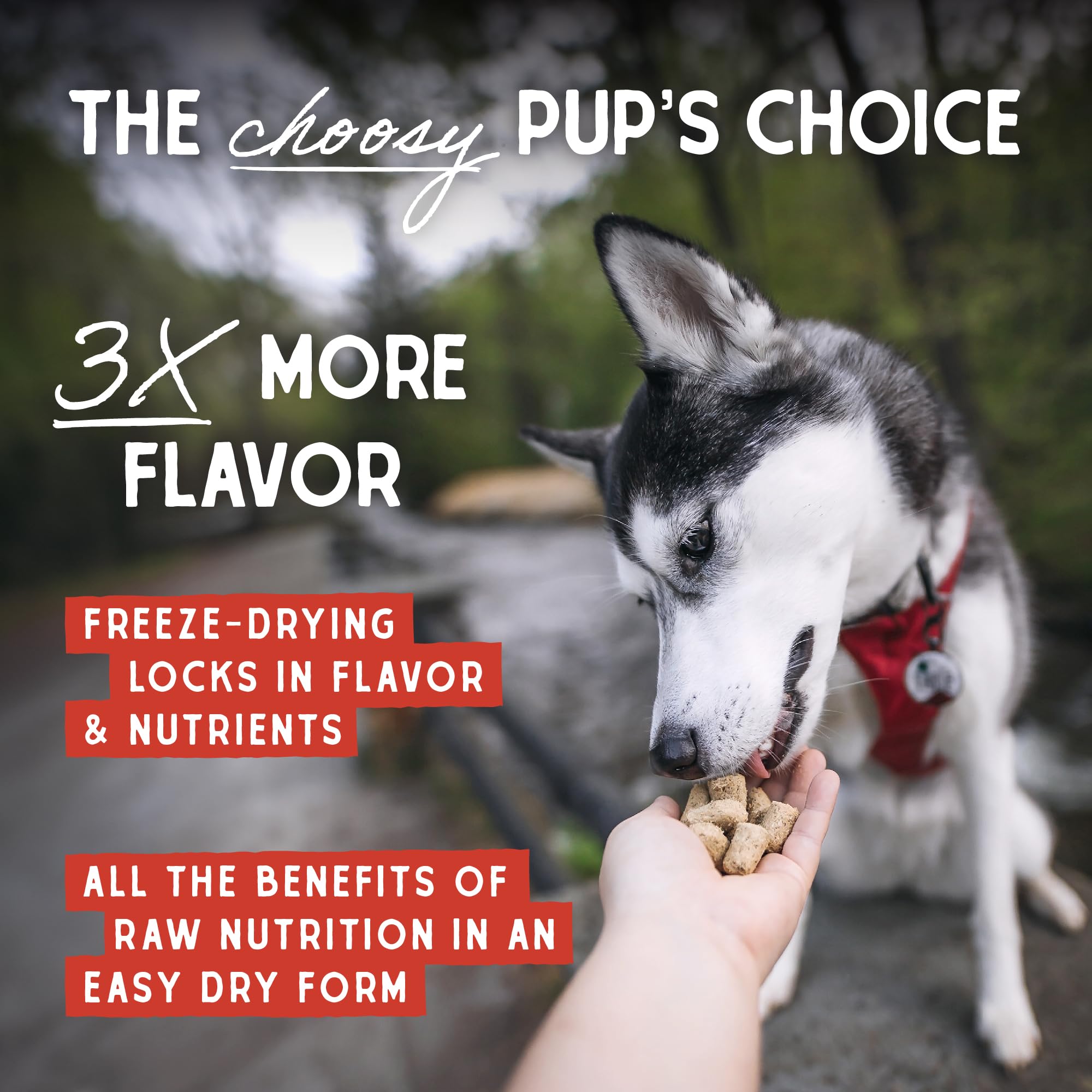 Stella & Chewy’s Freeze Dried Raw Super Beef Meal Mixer – Dog Food Topper for Small & Large Breeds – Grain Free, Protein Rich Recipe – 510g Bag 🍁 All In One Marketplace Canada
