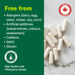 Organika Canadian-Made Liposomal L-Glutathione 500 mg- Supperior Absorption, Potent Antioxidant, Immunity Support, Helps Tissue Repair, Detox - 30vcaps, 30 Day Supply 🍁 All In One Marketplace Canada