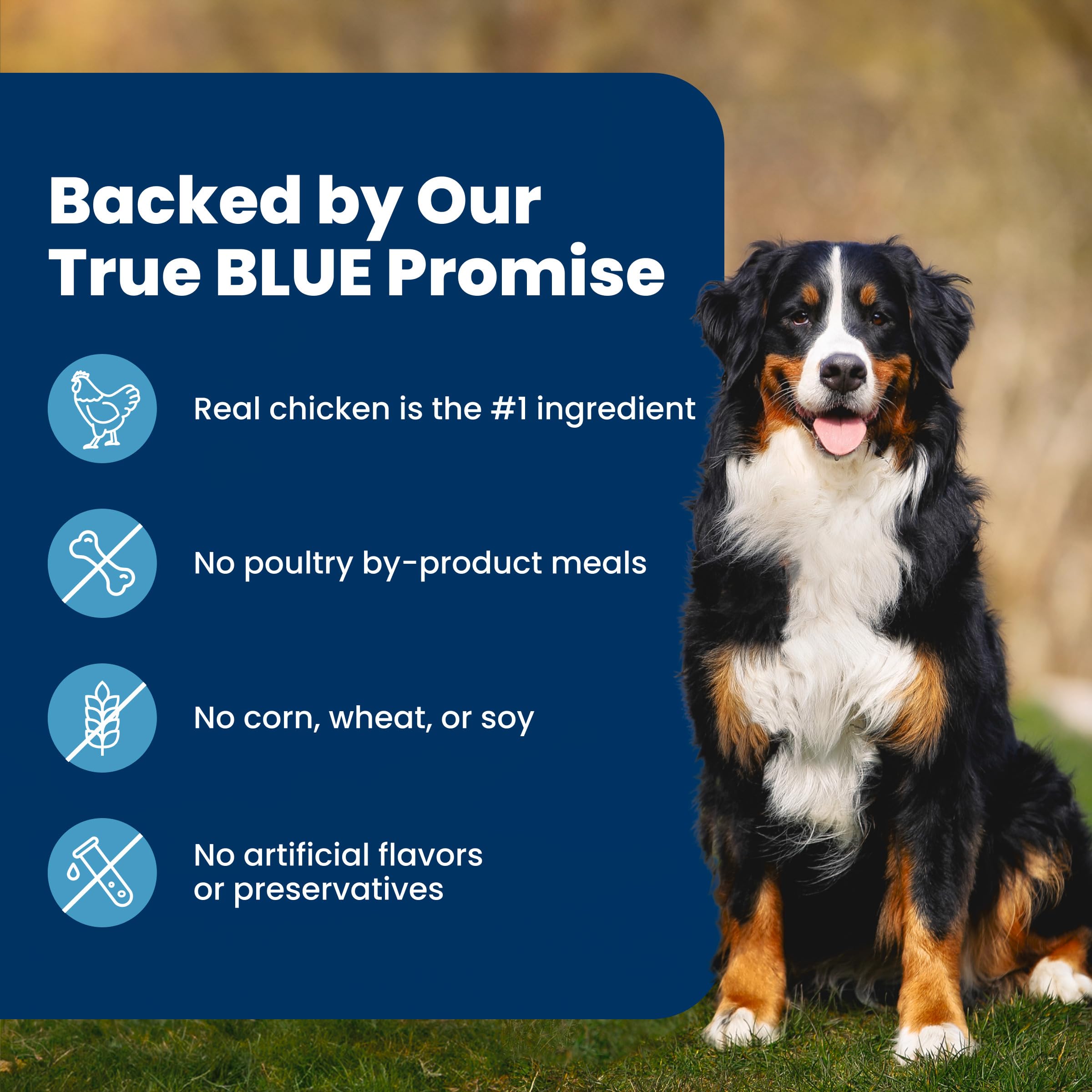 Blue Buffalo Life Protection Formula Chicken & Brown Rice Healthy Weight Large Breed Adult Dry Dog Food, Supports Immunity with LifeSource Bits, Promotes Healthy Lean Muscles,11.7kg/26 lbs 🍁 All In One Marketplace Canada
