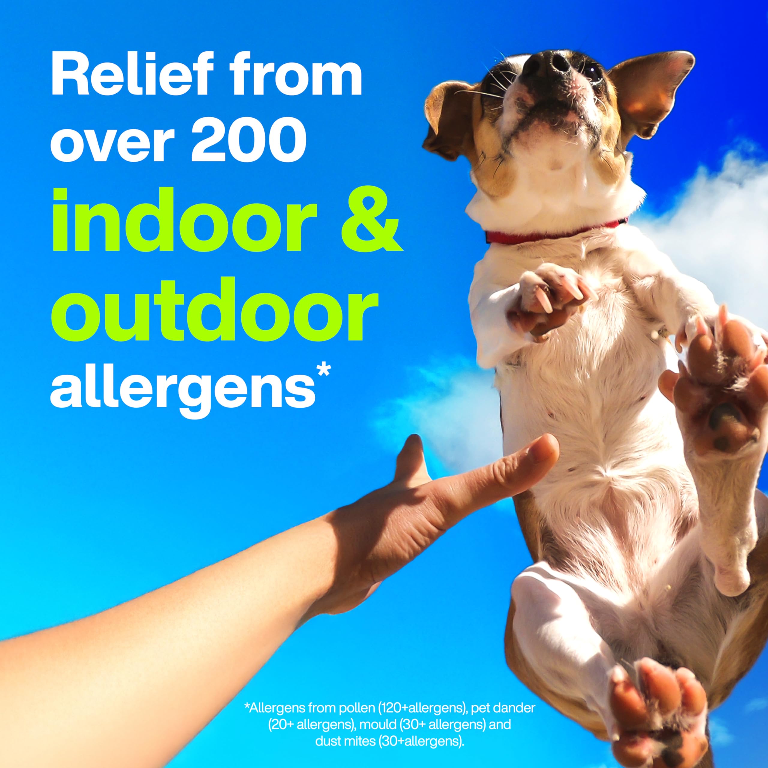 Claritin Rapid Dissolve Allergy Medicine, 24-Hour Non-Drowsy Relief 10 mg, 50 Tablets 🍁 All In One Marketplace Canada