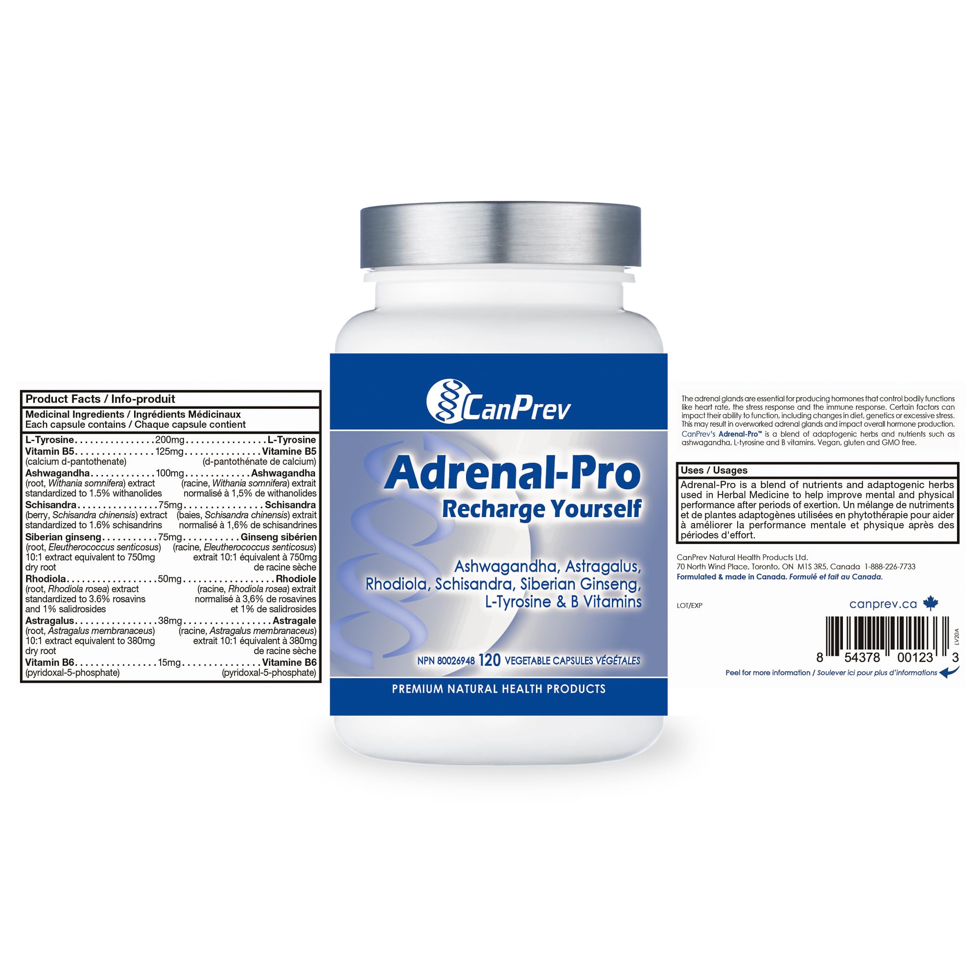CanPrev Adrenal-Pro Recharge Yourself, 120 Vegan V-Caps with Siberian Ginseng, 30-Day Supply with Ashwagandha, Astragalus, L-Tyrosine, B5 & B6 - Supports Energy Levels, Physical and Mental Vitality 🍁 All In One Marketplace Canada