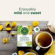 Traditional Medicinals - Organic Dandelion Leaf and Root Herbal Tea (Pack of 6) - 96 Tea Bags Total 🍁 All In One Marketplace Canada