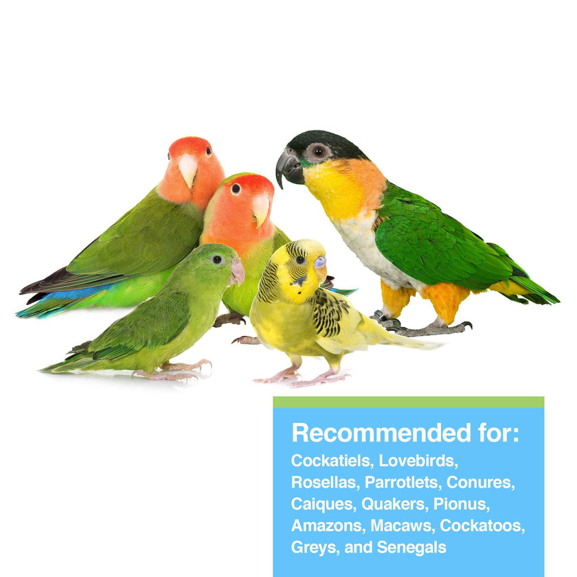 Tropican Lifetime Formula Granules for Parrots - 1.8 kg (4 lb) 🍁 All In One Marketplace Canada