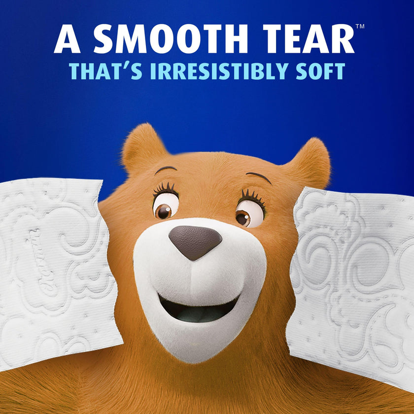 Charmin Toilet Paper Ultra Soft, 24 Mega Rolls = 96 Regular Rolls 🍁 All In One Marketplace Canada