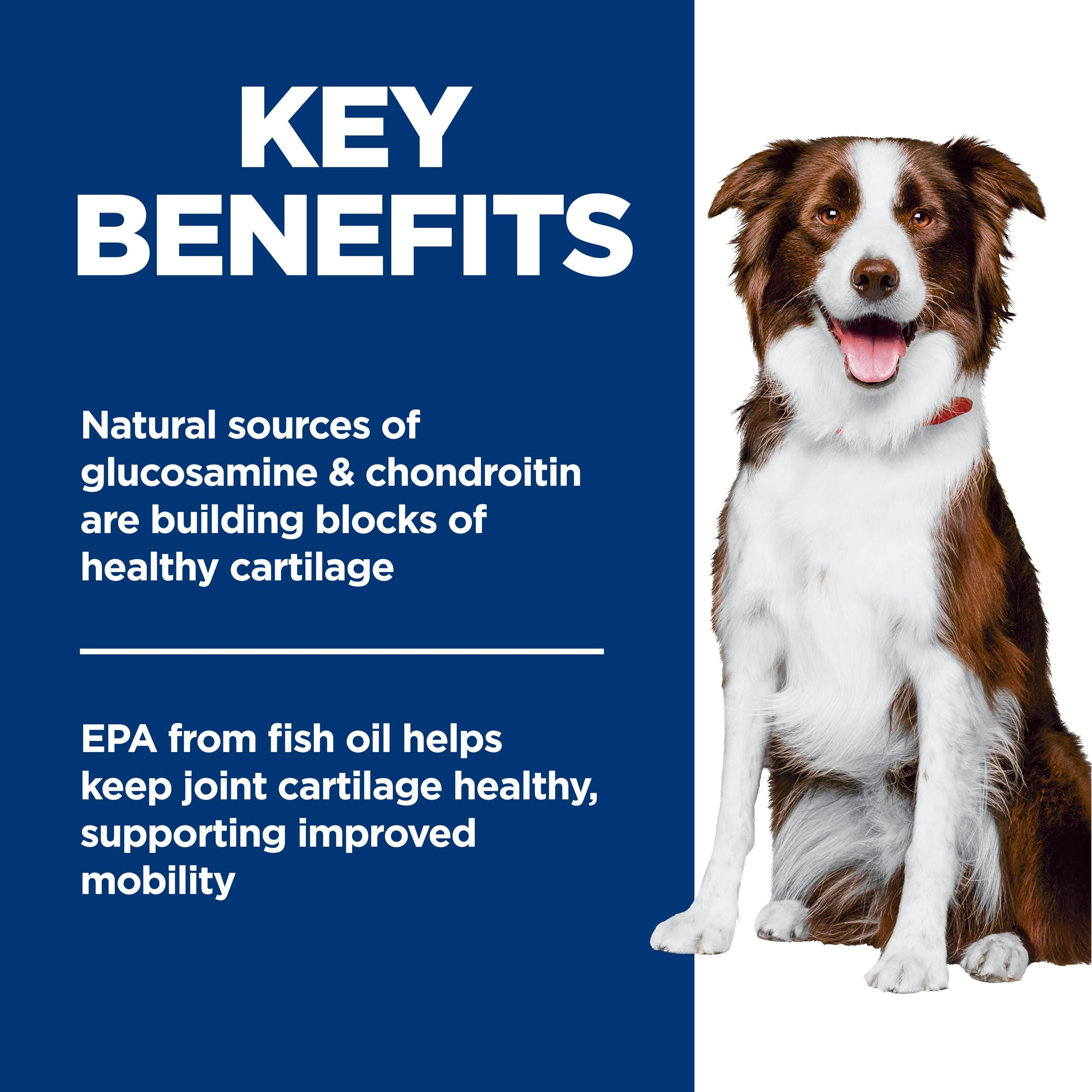 Hill's Science Diet Adult Healthy Mobility Large Breed Chicken Meal, Brown Rice & Barley Recipe Dry Dog Food 13.6 kg Bag 🍁 All In One Marketplace Canada