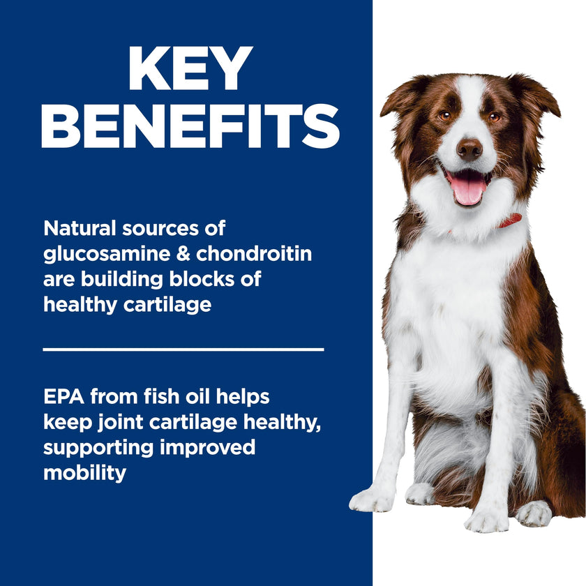 Hill's Science Diet Adult Healthy Mobility Large Breed Chicken Meal, Brown Rice & Barley Recipe Dry Dog Food 13.6 kg Bag 🍁 All In One Marketplace Canada