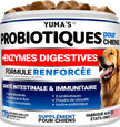 Probiotics for Dogs - 170 Chews - Helps Relieve Diarrhea, Gas & Allergies, Constipation - Dog Probiotics - Digestive & Immune Support - Prebiotics & Digestive Enzymes - Gut Health Chewable Supplement 🍁 All In One Marketplace Canada