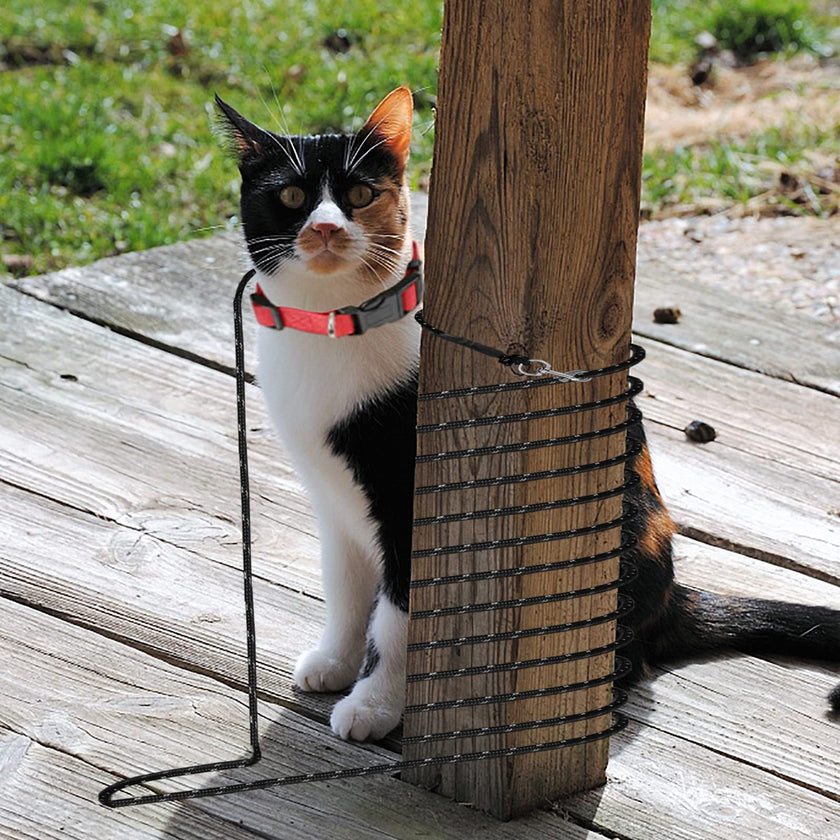 Extra Long Cat Leash for Yard, 9M/30FT Lightweight Outdoor Cat Leash Long Light Extension, Long Thin Lead for Rabbits, Kitten, Puppy and Small Animals 🍁 All In One Marketplace Canada