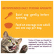 Friskies Lil' Soups Cat Treats, Fish-a-Licious 34g Cups (18 Pack x 2) 🍁 All In One Marketplace Canada