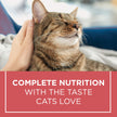 Cat Chow Complete Dry Cat Food, Salmon 6.4kg 🍁 All In One Marketplace Canada