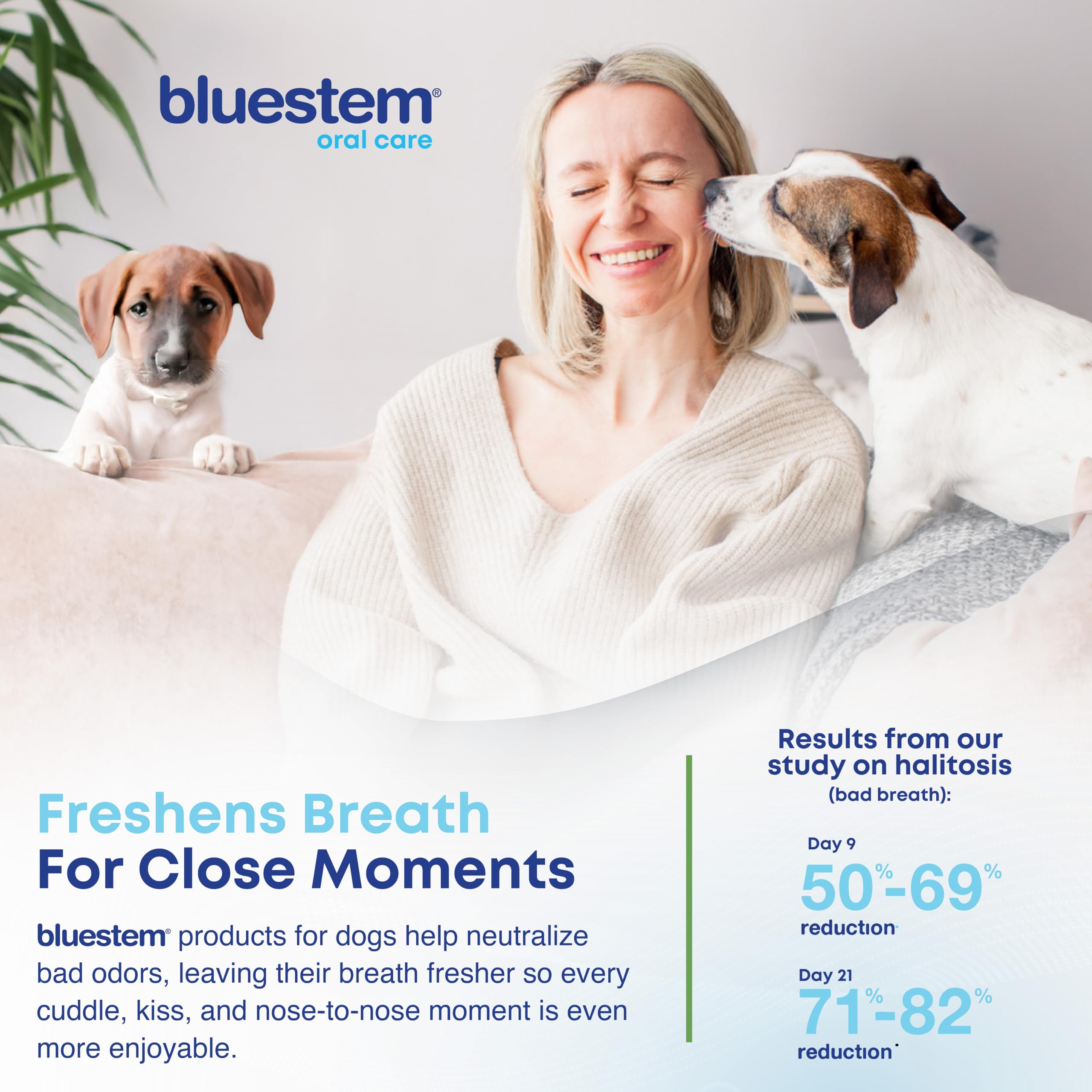 bluestem Dental Care Water Additive for Dogs – No Brushing Daily Teeth Cleaner – Pet Oral Rinse to Freshen Breath & Help Reduce Plaque – Flavorful & Easy Oral Hygiene (500 ml, Vanilla Mint) 🍁 All In One Marketplace Canada