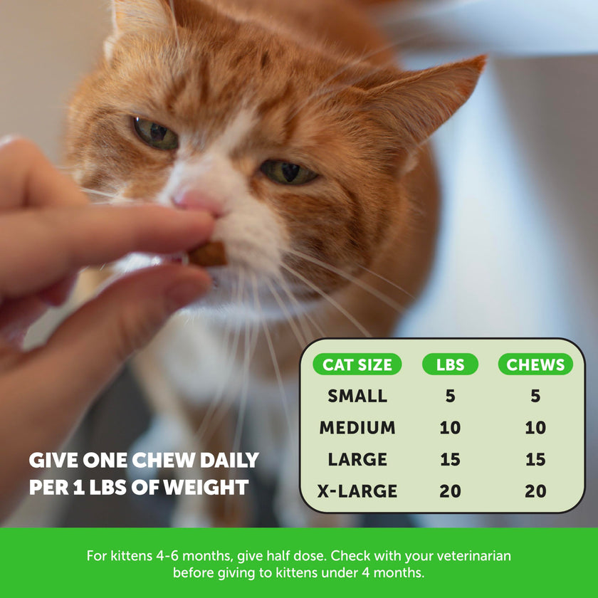 Cat Hairball Support Crunchy & Creamy Chews, Hairball Remedy Treats, Cat Furball Treatment, Supports Skin & Coat, Vitamins for Digestion, Chicken (30-Day Supply) 🍁 All In One Marketplace Canada