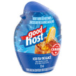GOODHOST Iced Tea Liquid Water Enhancer, 12 Bottles, 744 g 🍁 All In One Marketplace Canada