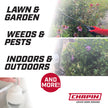 Chapin 16200 Home and Garden Poly Sprayer, 2-Gallon 🍁 All In One Marketplace Canada