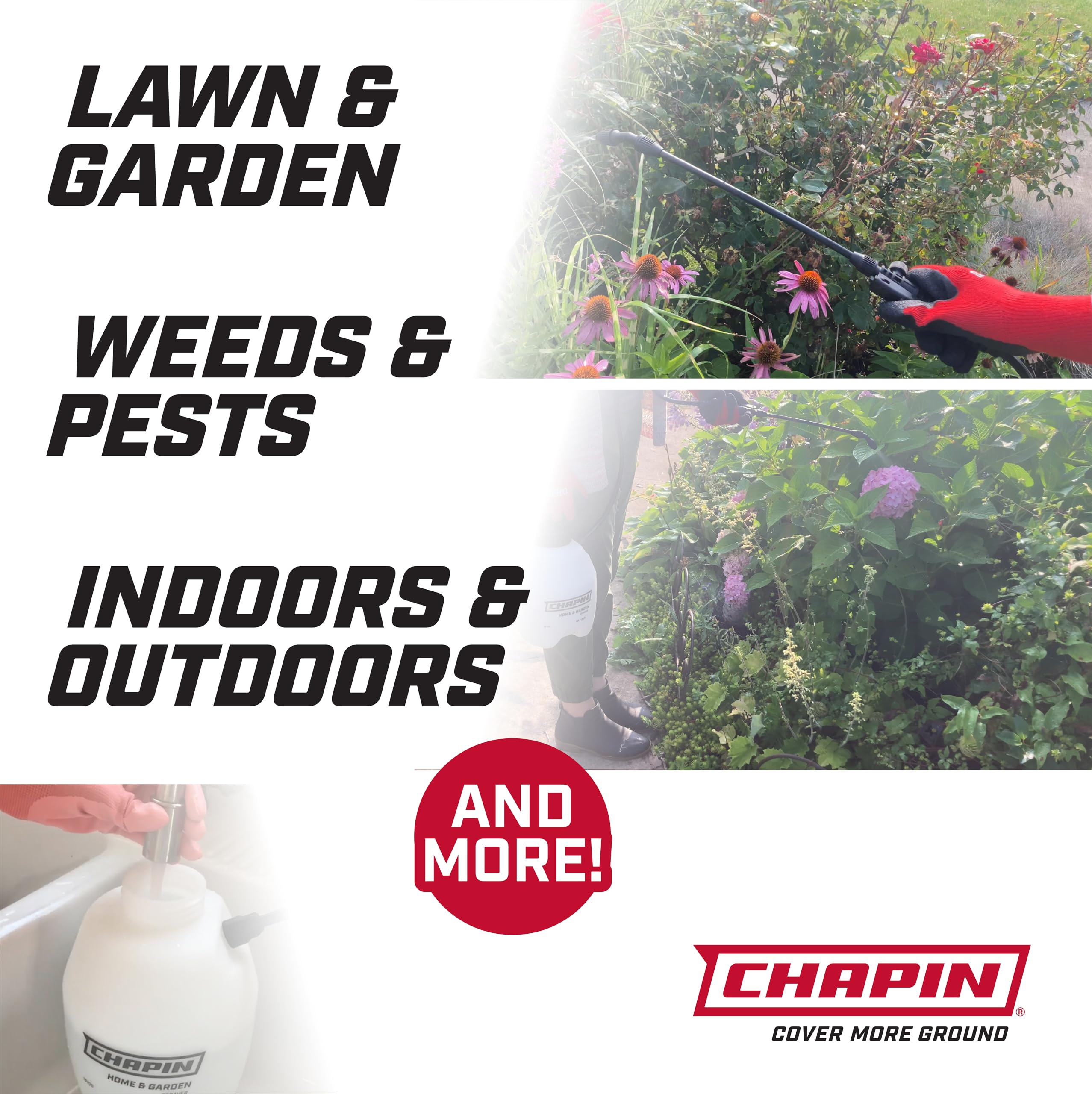 Chapin 16200 Home and Garden Poly Sprayer, 2-Gallon 🍁 All In One Marketplace Canada