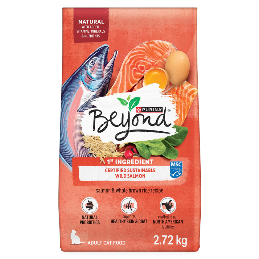 Beyond Simply Natural Dry Cat Food, Salmon & Whole Brown Rice - 2.72 kg Bag 🍁 All In One Marketplace Canada