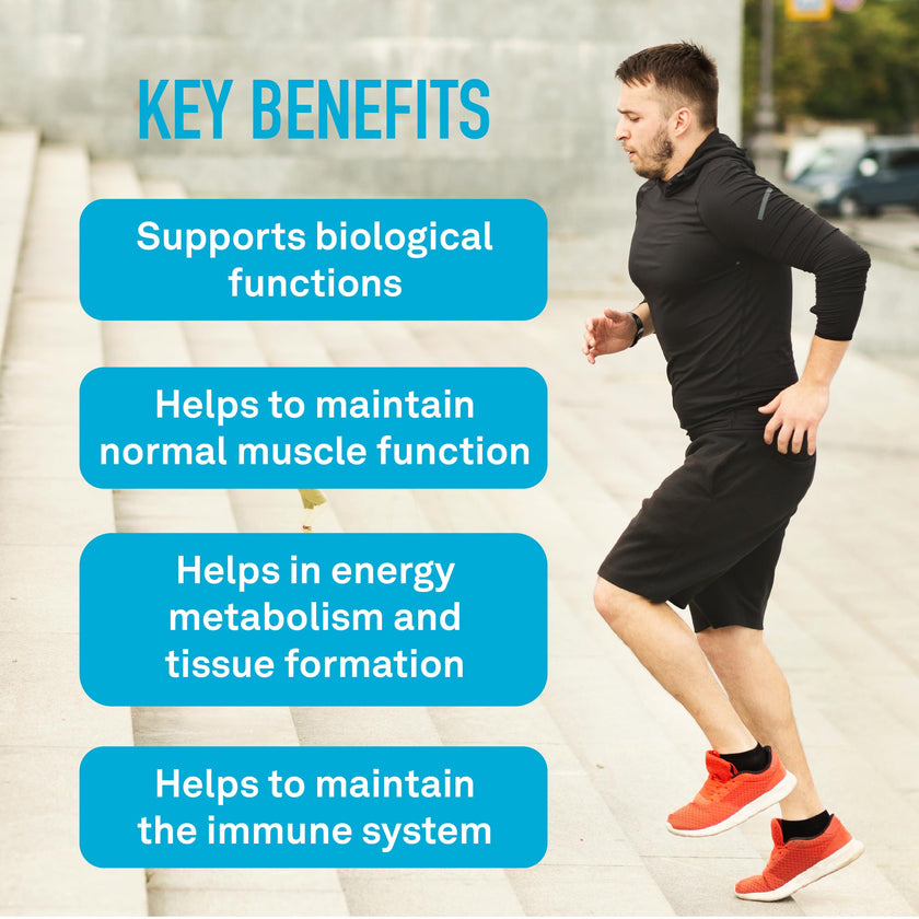 Electrolytes Boost | 4 Electrolytes + B6 & Zinc | 200 Vegetarian Capsules 🍁 All In One Marketplace Canada