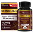 Nutravonic Berberine Supplements 1000mg Per Serving, 500mg Per Capsule | Made in Canada I Supports Healthy Glucose & Lipid Metabolism | Non-GMO, Vegan, Gluten-free, 120 Easy-to-Swallow Capsules 🍁 All In One Marketplace Canada