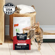 Kent Pet Group 62100615: World's Best Cat Litter Multiple Cat Unscented Cat Litter, 15 Lbs 🍁 All In One Marketplace Canada