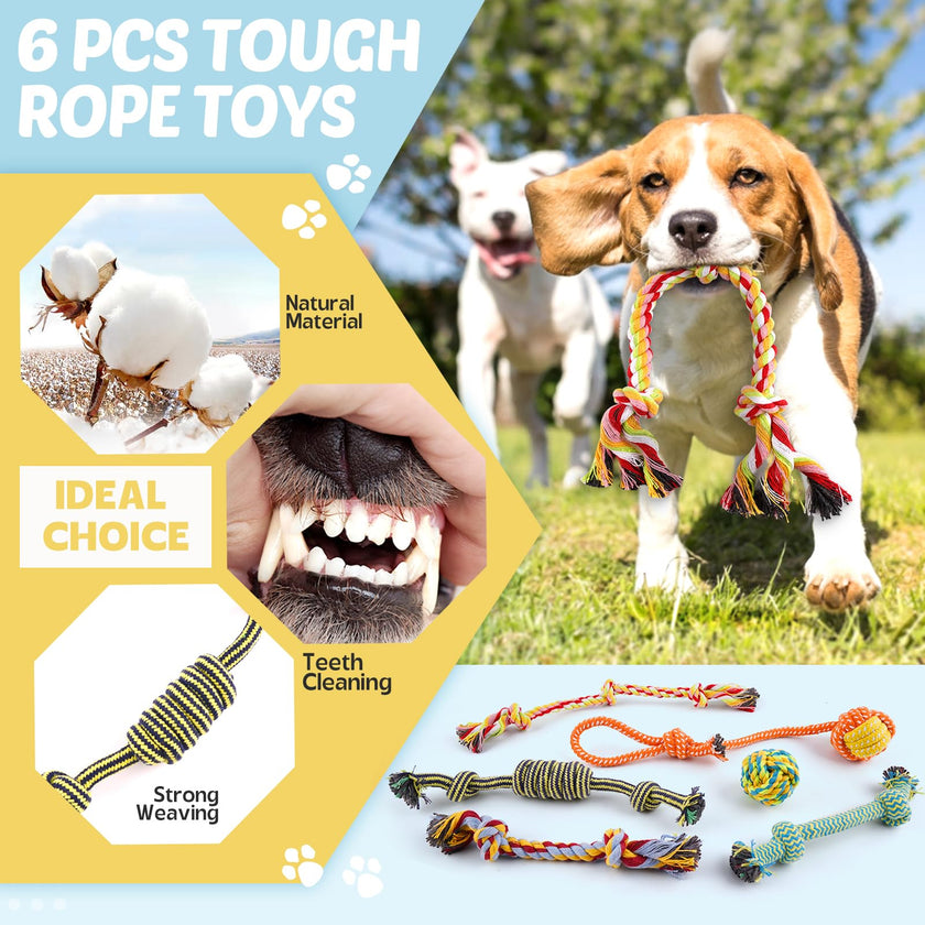 Puppy Toys 21 Pack, Small Dog Chew Toys with Rope Toys for Teething Pet Cute Squeak Toy with Treating Ball for Puppy, Small Dogs 🍁 All In One Marketplace Canada