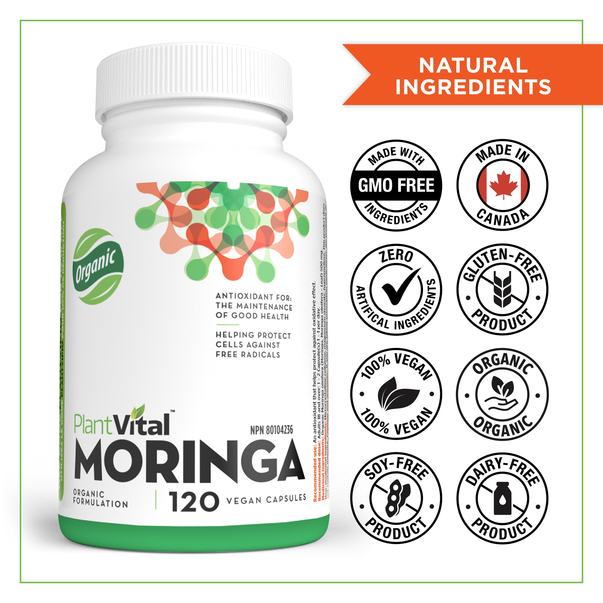 PlantVital Organic Moringa Leaf Capsules - Made in Canada - 1000mg High Potency (500mg per cap) Moringa Pure Capsules for Antioxidant, and Eye Health - Vegan, Non-GMO, Gluten Free (120 Count, 60 Days) 🍁 All In One Marketplace Canada