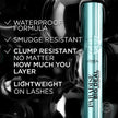L'Oréal Paris Paradise Big Deal Volumizing Mascara, Buildable & Lengthening Mascara, No Clumps, Lightweight, Black Waterproof 10.9 ml 🍁 All In One Marketplace Canada